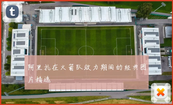 阿里扎在火箭队效力期间的经典图片精选