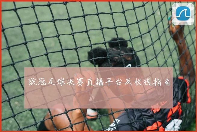 欧冠足球决赛直播平台及收视指南