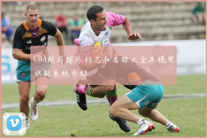 CBA所有球队标志和名称大全及视觉识别系统介绍
