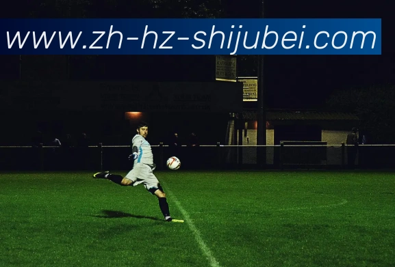 奖项2