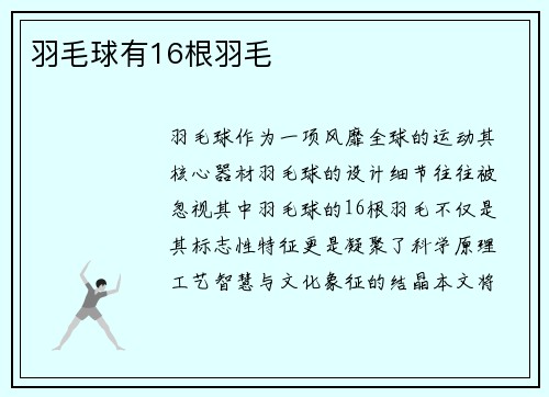 羽毛球有16根羽毛